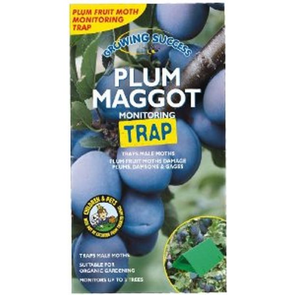 Growing success plum maggot monitoring trap
