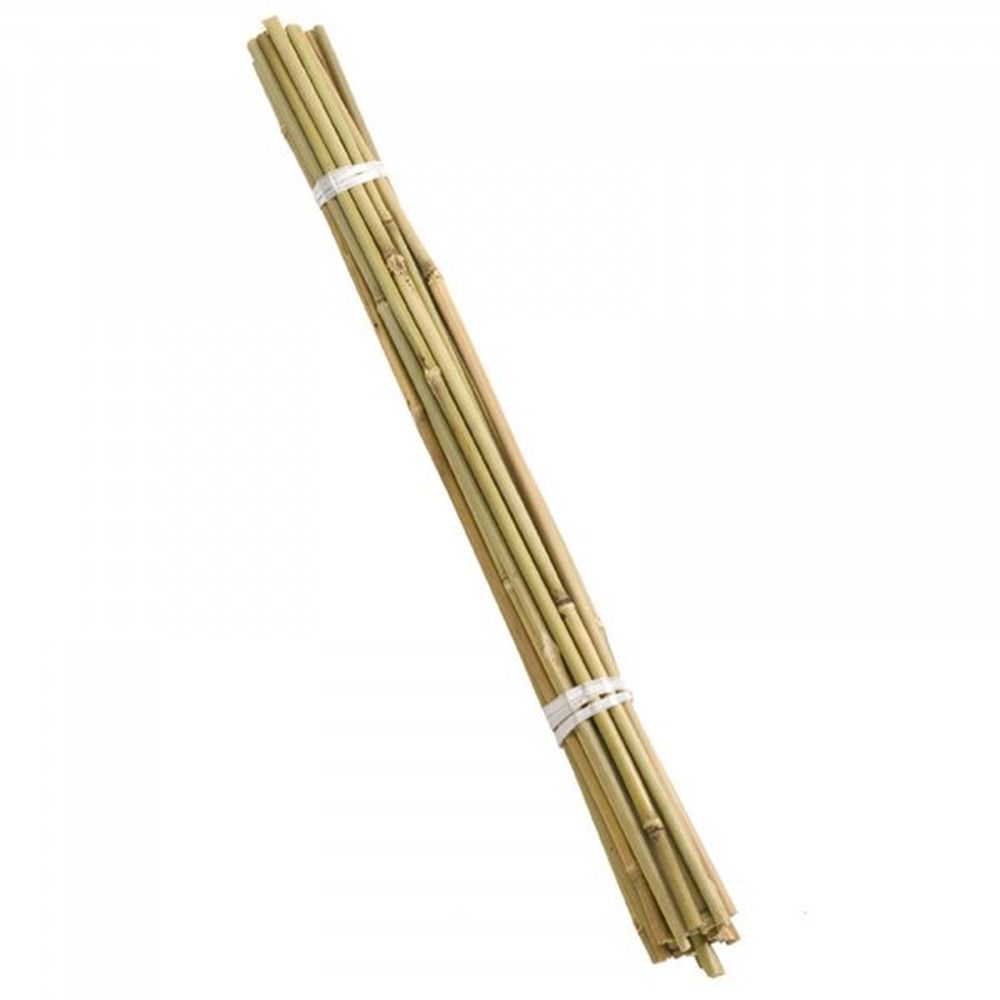 Bamboo Canes 90cm Bundle of 20