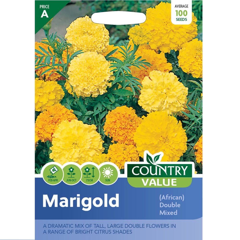 Marigold (african) Doubl