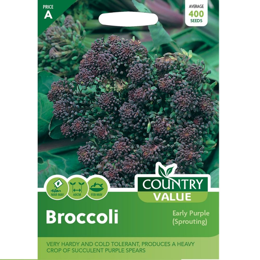 Broccoli Early Purple (s