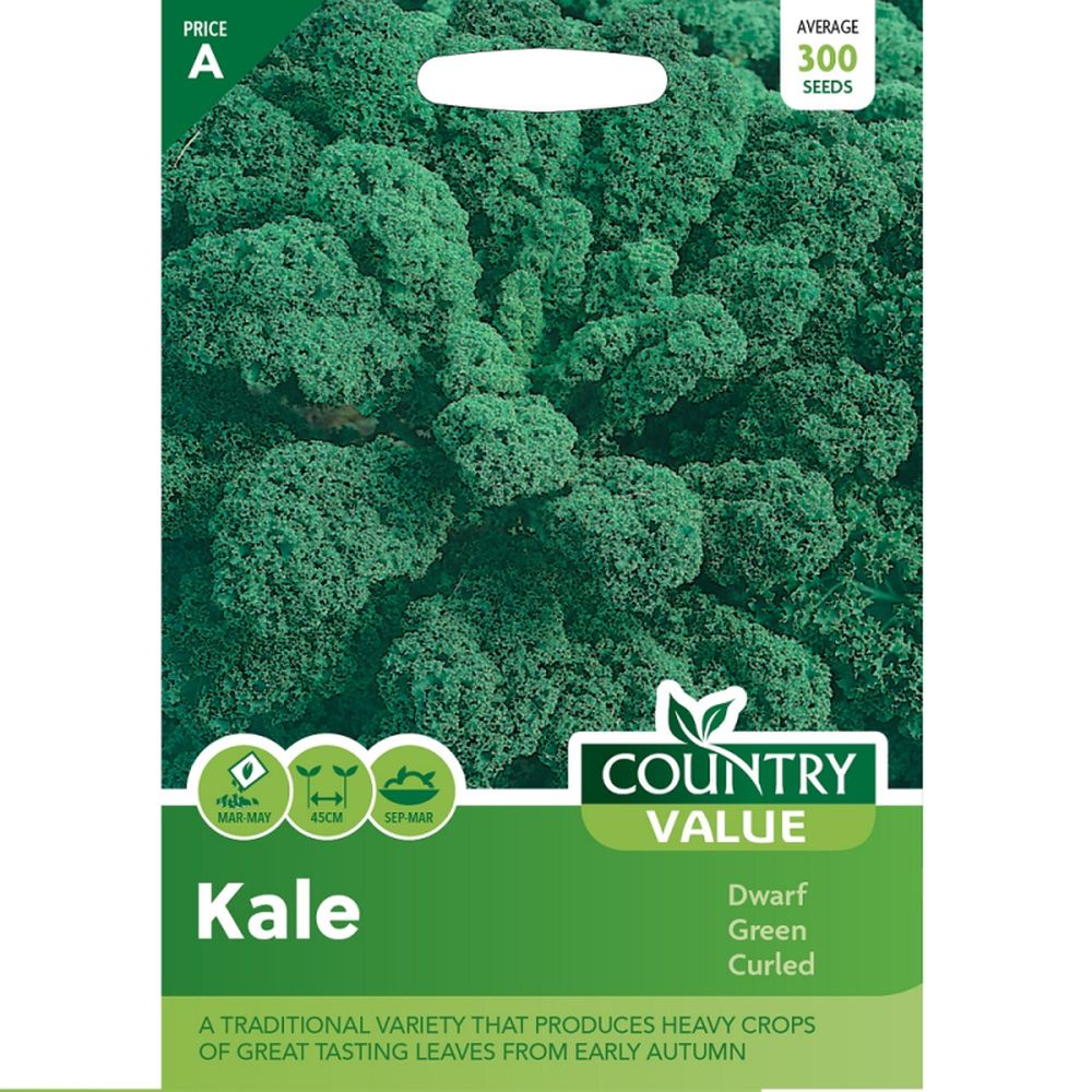 Kale Dwarf Green Curled