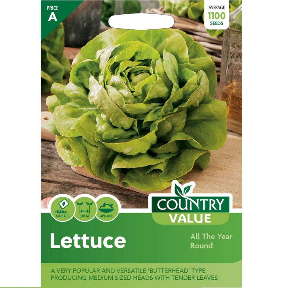 Lettuce All The Year Rou