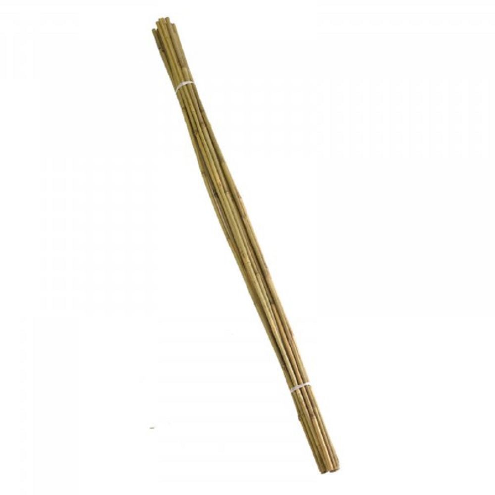 Bamboo Canes 240cm Bundle of 10