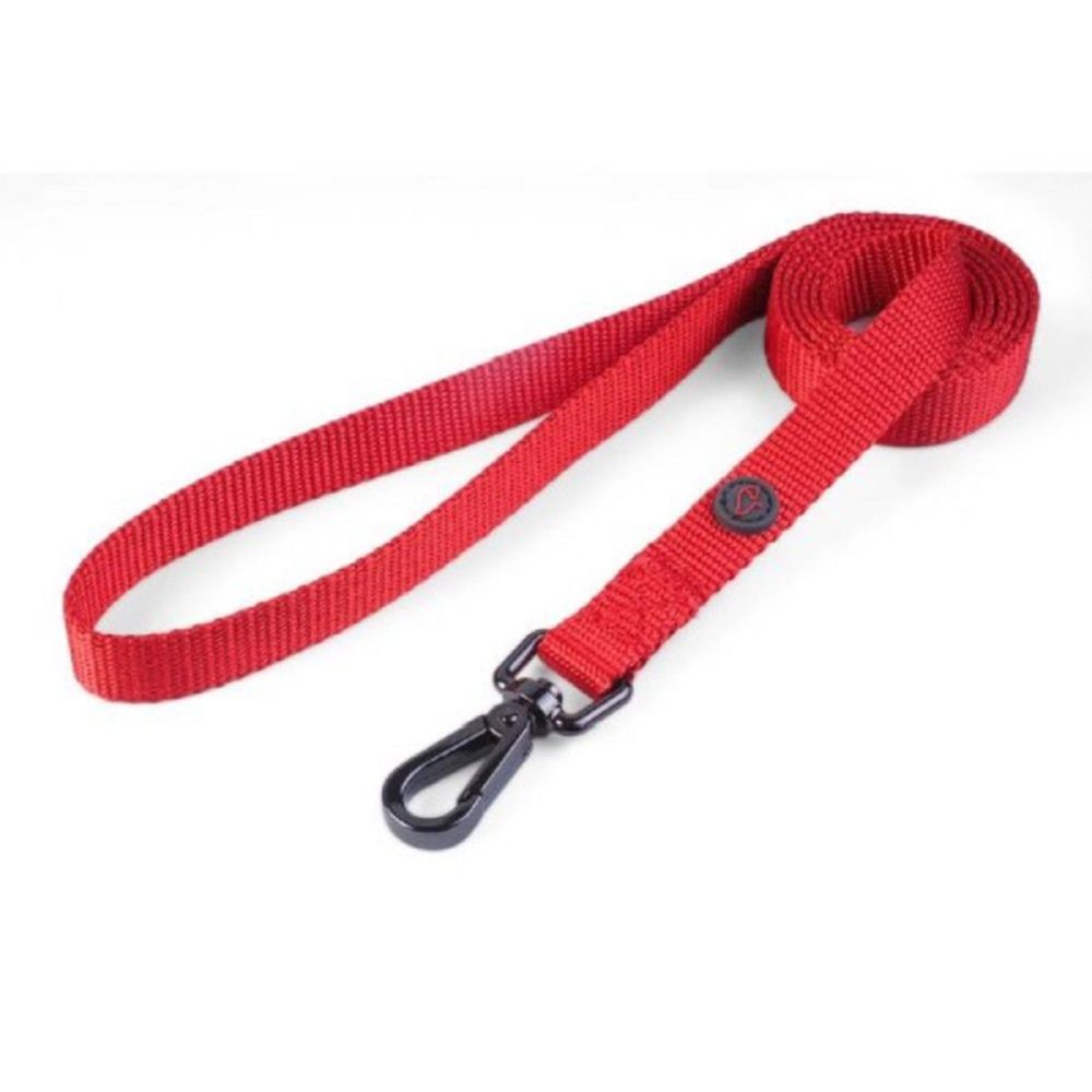 Walkabout Red Dog Lead - Std