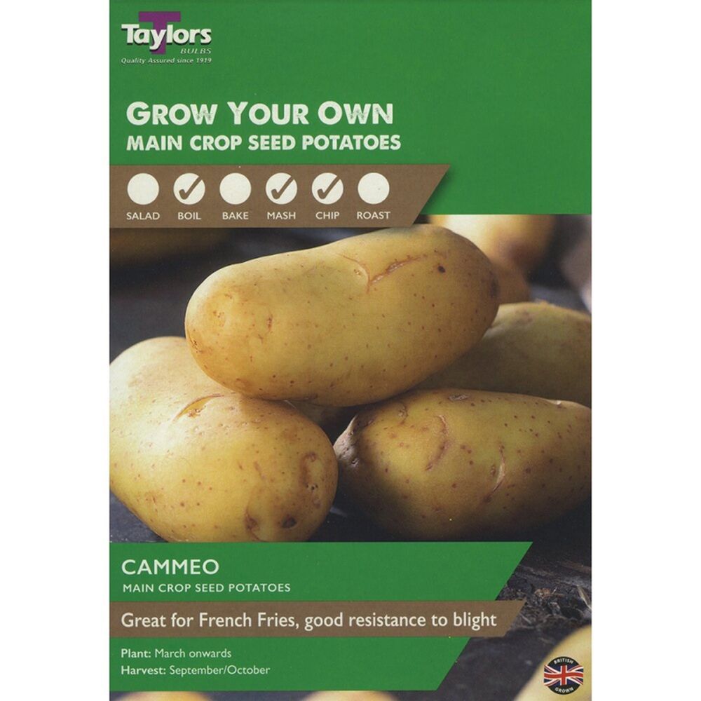 10 Cammeo Potatoes Taster Pack