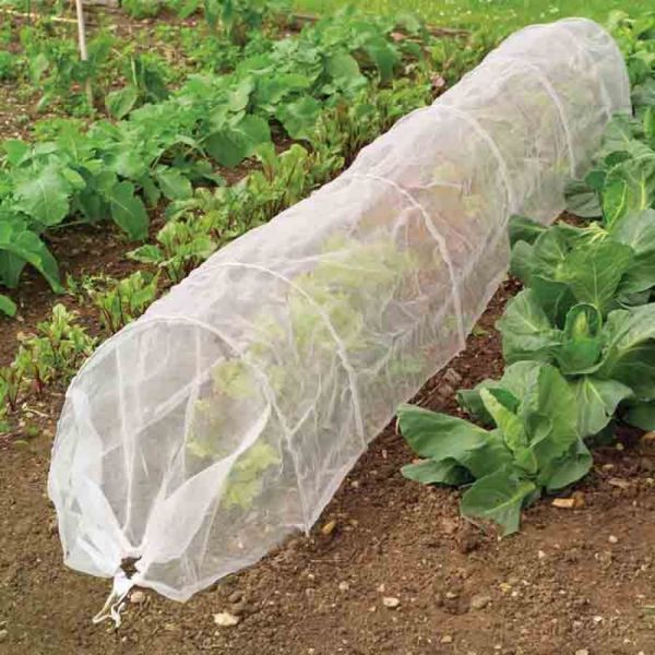 Insect Mesh Grow Tunnel